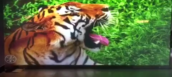 調（diào）光膜/調光玻（bō）璃/自貼（tiē）膜/藝術玻璃/發光玻璃/透光混泥土